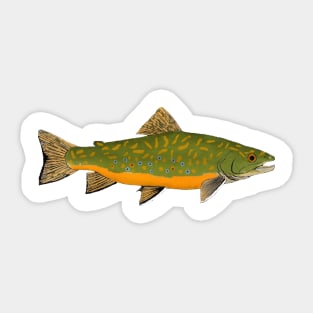 Brook Trout Sticker